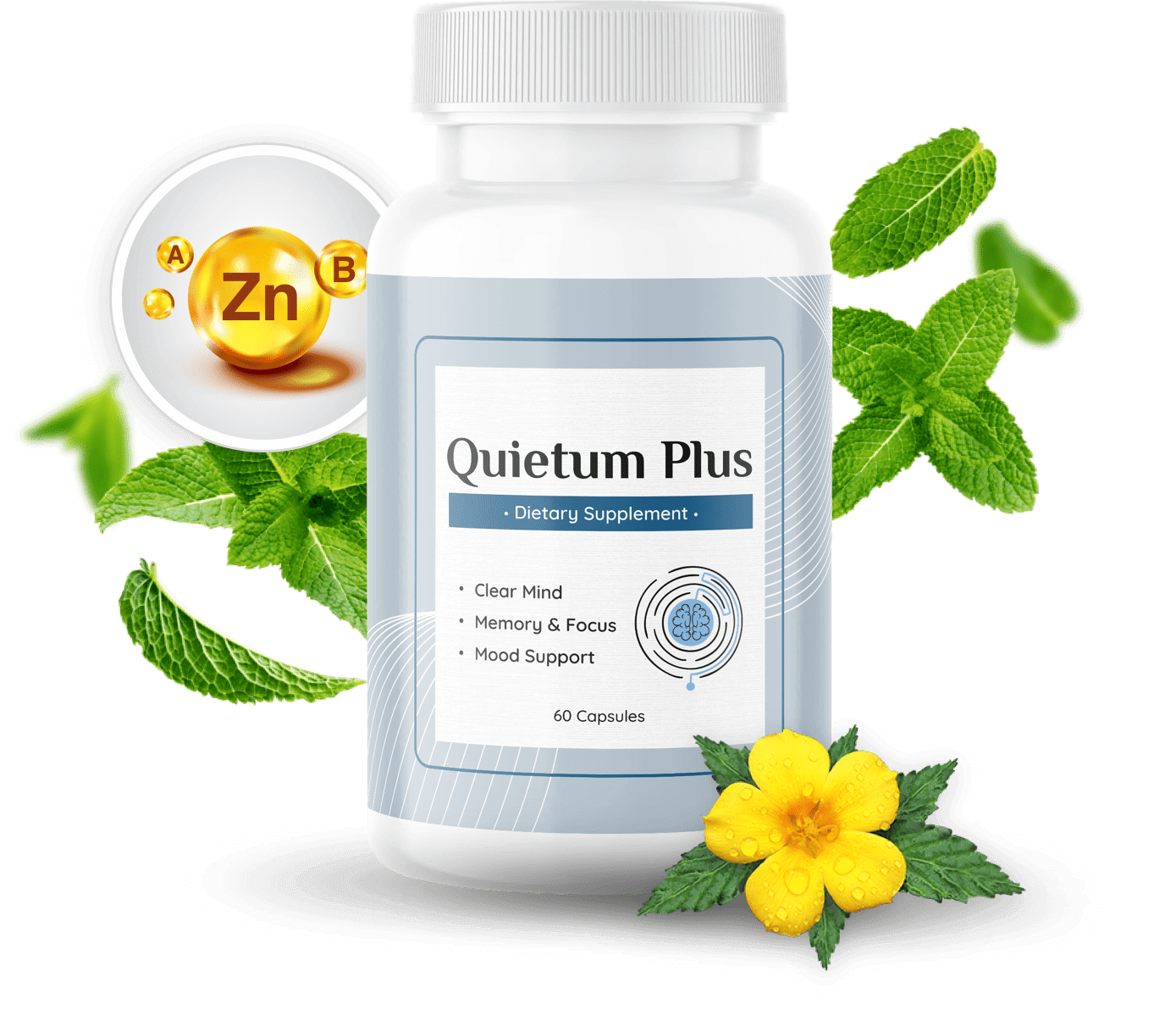 Quietum Plus™ - Support Healthy Hearing | Official Website